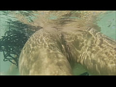 Play MP4 - Monika Fox Swims Naked In Atlantic Ocean & Pees On Beach &lpar;Free&rpar;