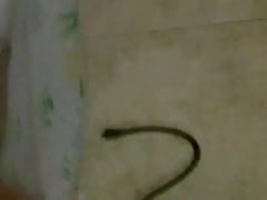 Play MP4 - VID-20150727-00004&period;MP4