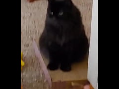 Play MP4 - I was really lucky to have a bestfriend like her&period; A part of me is gone now&period;Rest in peace my beautiful angel  I love &period;&period;&period;