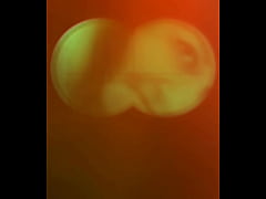 Play MP4 - J'adooore &quest;