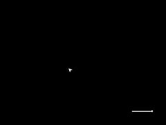 Play MP4 - StepSister BlowJobs Me&comma; Even If She Knows &quest;&quest;&quest; Inari Season 1 Episode 5