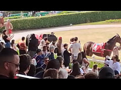 Play MP4 - - &num;650