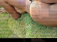 Play MP4 - Sage-Production 173