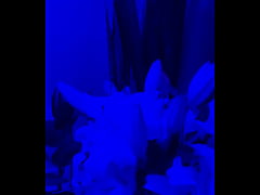 Play MP4 - I have lilies in my room now&num;Flowers