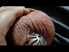 Play MP4 - A very leaky cage puppy