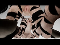Play MP4 - Two zebras pleasure each other - Wildlife