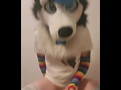 Play MP4 - cute femboy doggo jumping on a ball with a little