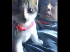 Play MP4 - Verification video