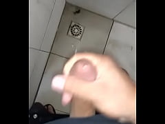 Play MP4 - Galo doido&lbrack;1&rsqb;