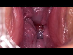 Play MP4 - Time for breeding