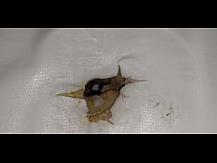 Play MP4 - I fuck the mattress with a condom&comma; I squirt the cum into her hole and lick the cum off the mattress&period;