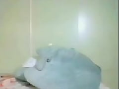 Play MP4 - Veny lover colmex