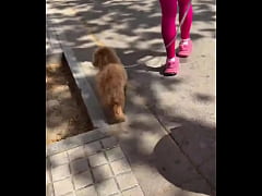 Play MP4 - RT if you want to see me in public like