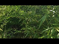 Play MP4 - I bet this will be your favorite video game