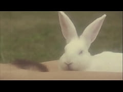 Play MP4 - Dark Lantern Entertainment presents