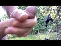 Play MP4 - Clitlicker662 - update &num;12 - IMG 1222 - Oct 12&comma; 2024