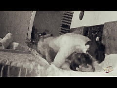 Play MP4 - Cachando de misionero en el hotel &lpar;FLASH&rpar;