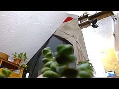 Play MP4 - Dawnskye1962 - update &num;140 - 1297 Tiny escaped again&comma; but I found him&period; - Oct 05&comma; 2025