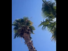 Play MP4 - Happy &num;EarthDay