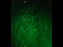 Play MP4 - Gay frogs