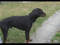 Play MP4 - Astounding Mandy blowing for good