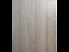 Play MP4 - Chiso moso - update &num;18 - 20250623 - Jun 23&comma; 2025