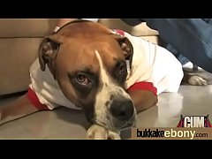 Play MP4 - Ebony Gang bang and CUM FEEDING 8