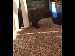 Play MP4 - I knew this was going to hit me hard but jesus christ&period;&period;