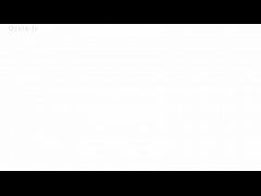 Play MP4 - 验证视频