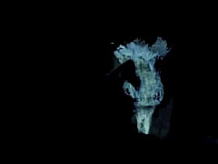 Play MP4 - Vintage Taboo Family Threesome