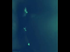 Play MP4 - Bad Girl Resume Night Duty