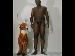 Play MP4 - How to make my arms look bigger like the size of my legs for free while exercising