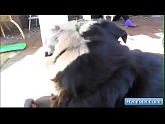 Play MP4 - FTV Girls presents Kylie-Teenage Teaser II-02 01