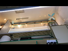 Play MP4 - The way this hot bitch moans when I play with her pussy makes me crazy