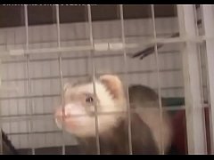 Play MP4 - Mischievous redhead Shawna with large natural tits can't stop fucking