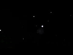 Play MP4 - vintage erotic animalation