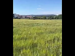 Play MP4 - - &num;55