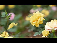 Play MP4 - My college friend fucked me&period;