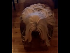 Play MP4 - Sha Ek Shake That I Actually Like Da Song &excl;&excl;