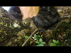 Play MP4 - A nature walk light skin edition&period;