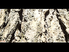 Play MP4 - Mesmeriza 23 01 MOV CINEMA CLIP 325 326 327 20240814141600562