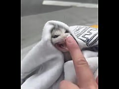 Play MP4 - Adventures with Ahanu featuring  OliviaWould &num;ahanu &num;ahanureed