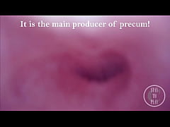 Play MP4 - Exploring my Peehole and finding where I CUM from