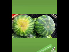 Play MP4 - Justsmilesanjoy - Update &num;120 &lpar;2023-02-25T00&colon;40&colon;39&period;000Z&rpar;