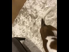 Play MP4 - I know a guy who has his own private jet&comma; he wants to take me to Malibu for dinner at Nobu tomorrow night for dinner with &period;&period;&period;