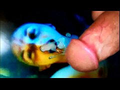 Play MP4 - The next could be you&excl;&excl; &lpar;My  TRIBUTES collection for you&rpar;