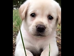 Play MP4 - Trai tắm thủ d&acirc;m