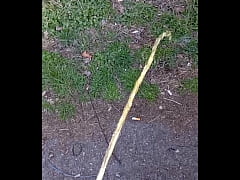 Play MP4 - Chcan&iacute; 1