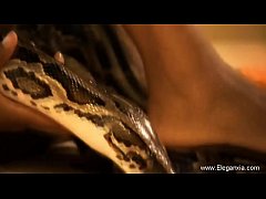 Play MP4 - Dancing Snesual Exotic Display