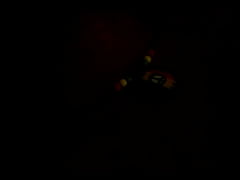 Play MP4 - VIDEO0002-1